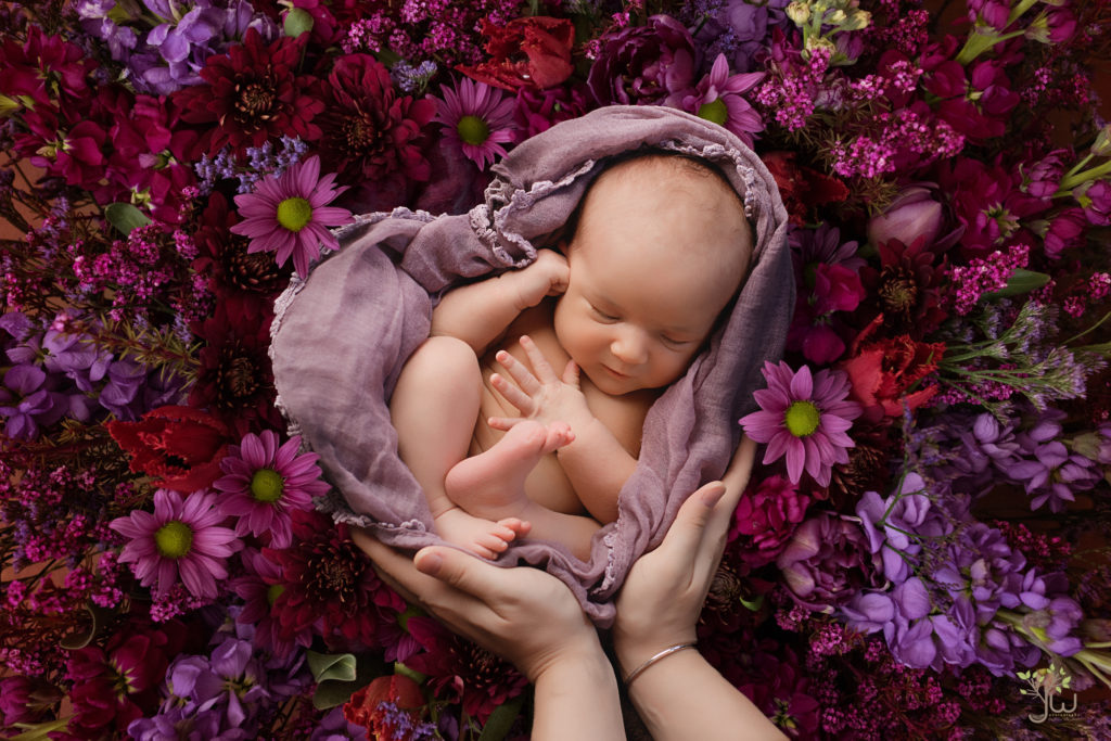 Best Seattle Newborn Photographer